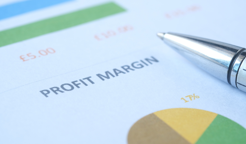 dropshipping profit margin